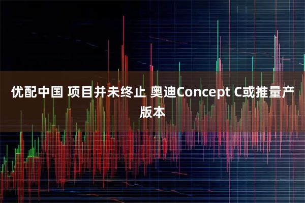 优配中国 项目并未终止 奥迪Concept C或推量产版本