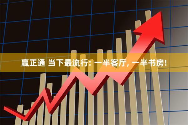 赢正通 当下最流行: 一半客厅, 一半书房!